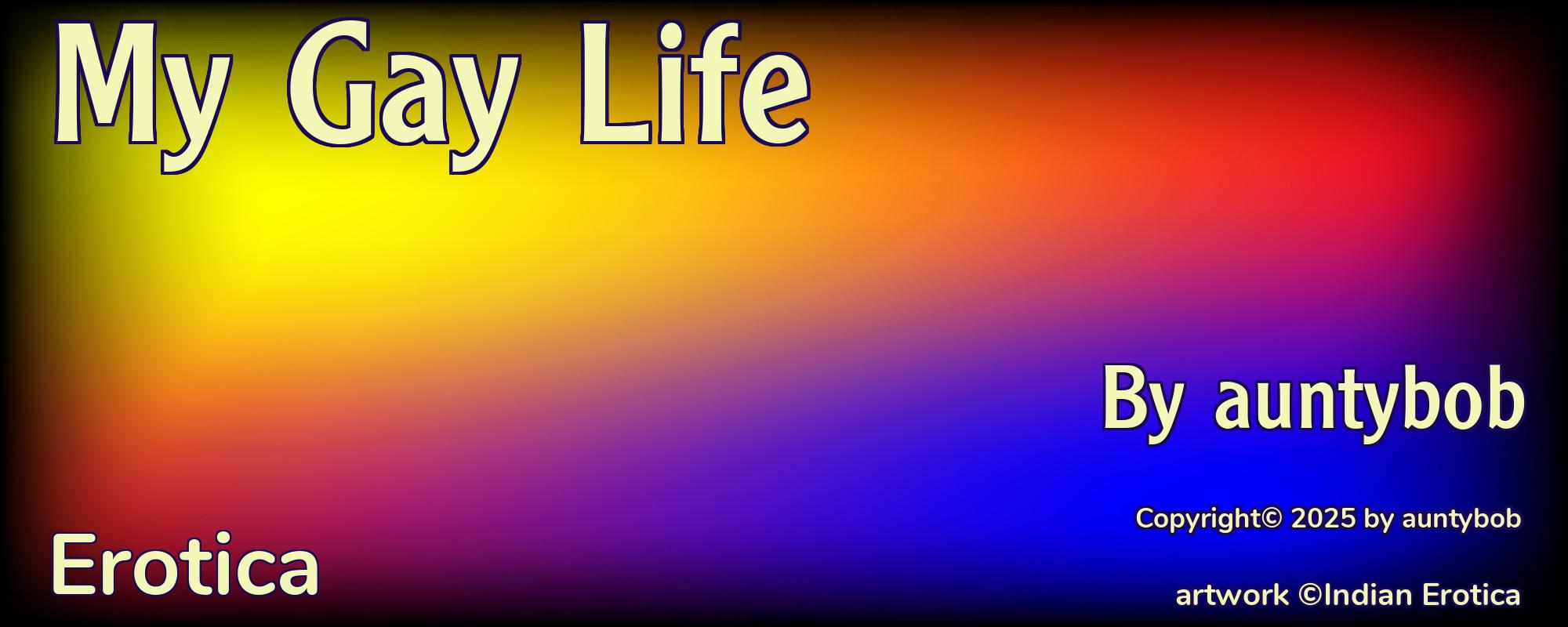 My Gay Life - Cover