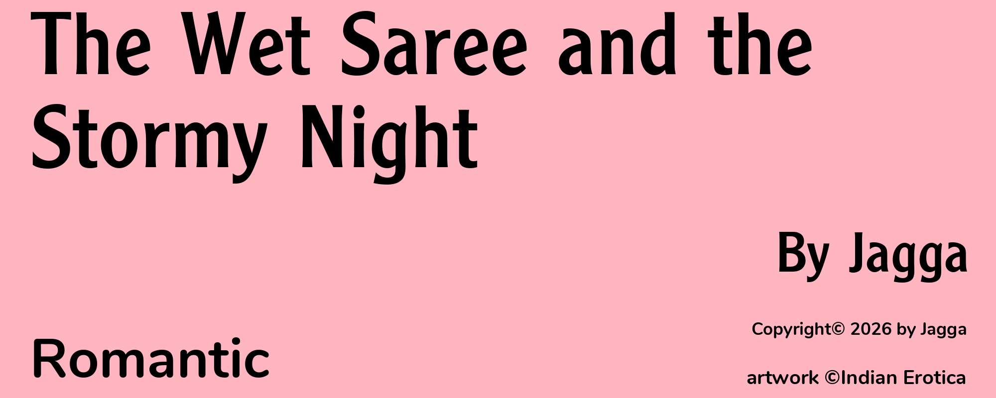 The Wet Saree and the Stormy Night - Cover